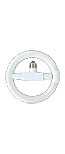 ring bulb